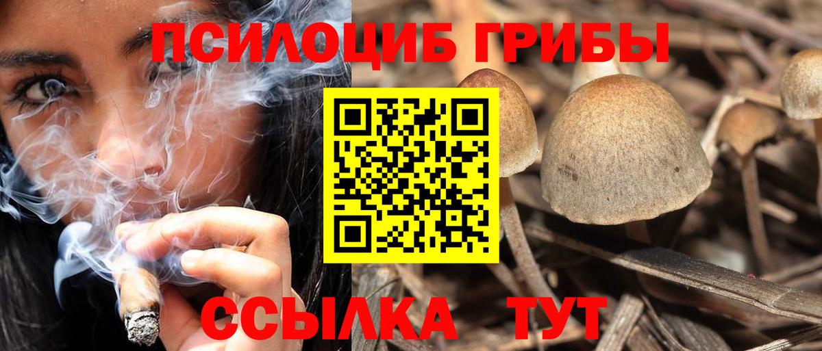 Псилоцибиновые грибы мицелий  Вход с VPN  Орск  Псилоцибиновые грибы MAGIC MUSHROOMS 
